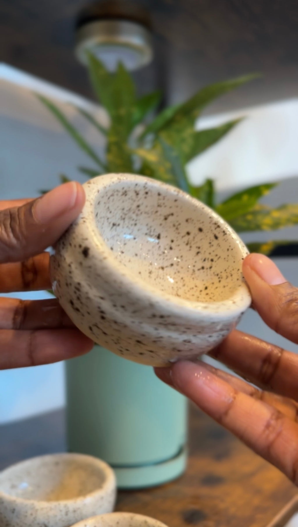 Soft Launch - cream + warm neutral + textured