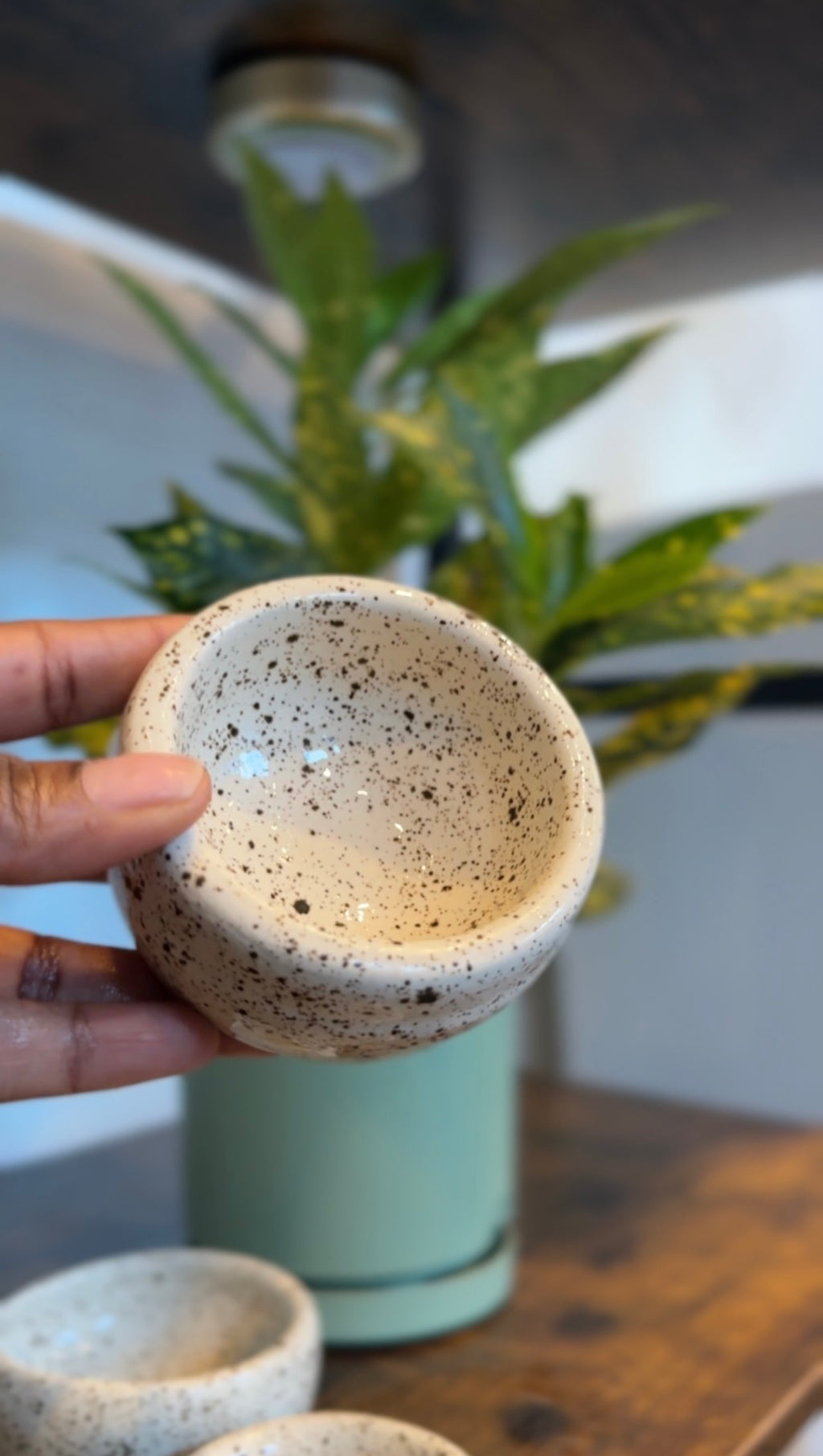 Soft Launch - cream + warm neutral + textured