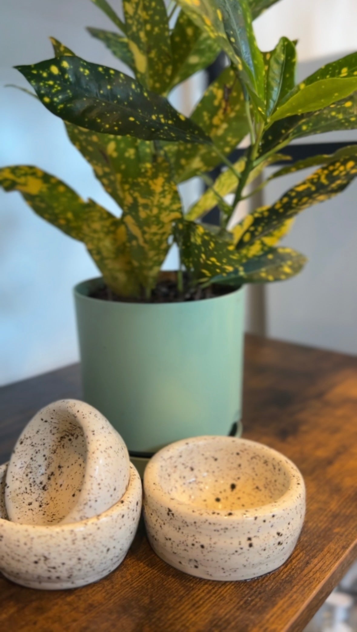 Soft Launch - cream + warm neutral + textured